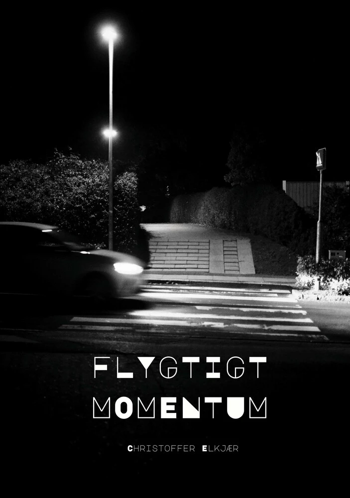 Flygtigt Momentum — book cover
