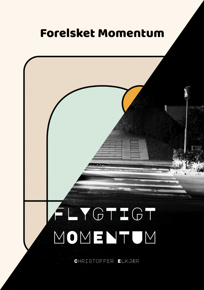 Flygtigt og Forelsket Momentum bogcover